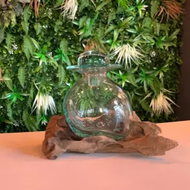 Sculpted Glass Jar